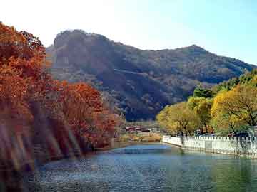 管家婆黑白马报图库，本地山羊养殖技术